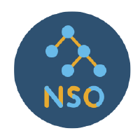 NSO Developer Studio - Developer IDE